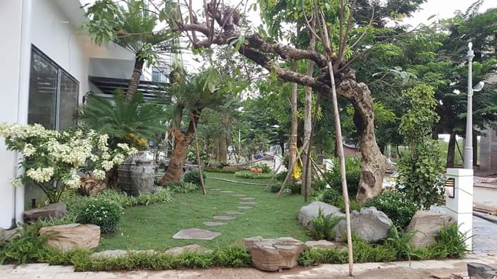 Thi công bước dạo sân vườn