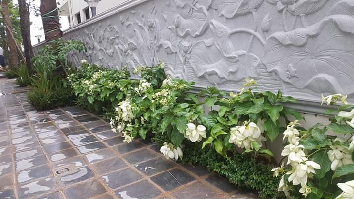 Thi công bước dạo sân vườn