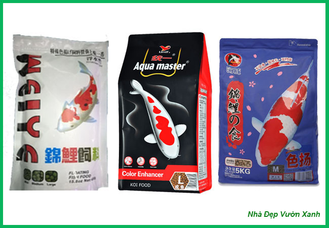 Cách nuôi cá koi - Những điều gia chủ cần biết