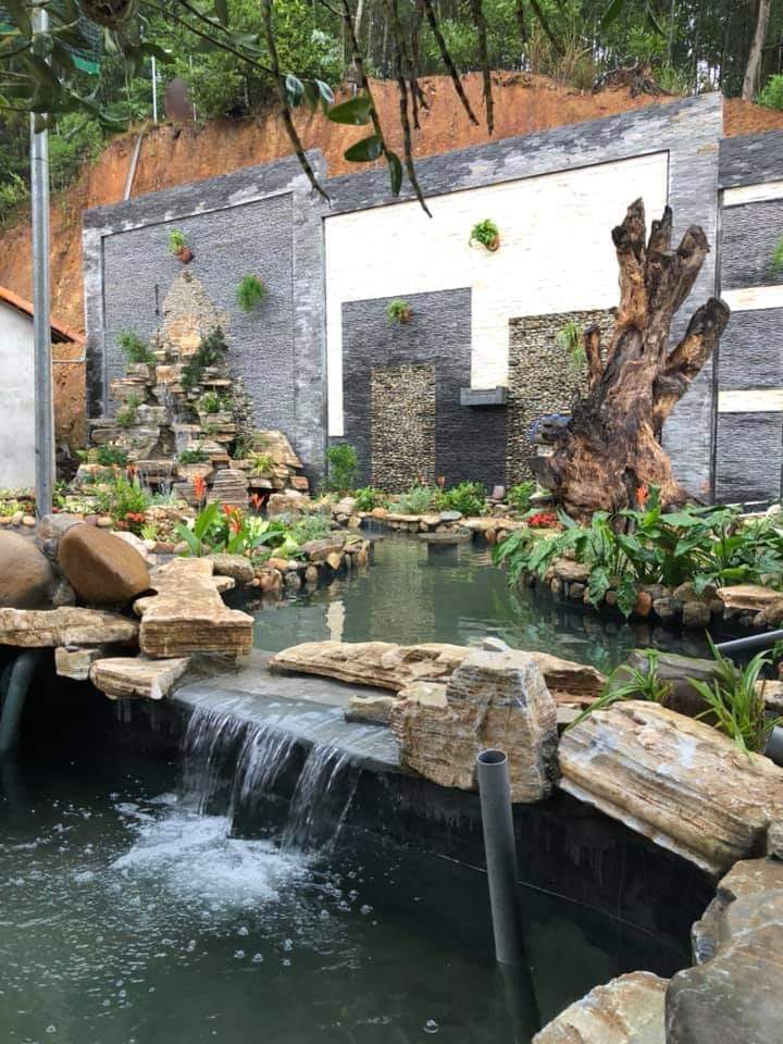 Đá cổ thạch ,đá tuyết sơn lÀm non bộ ,thác nước ,hồ koi, đặt sân vườn , bo bồn cây, tiểu cảnh