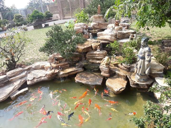 Đá cổ thạch ,đá tuyết sơn lÀm non bộ ,thác nước ,hồ koi, đặt sân vườn , bo bồn cây, tiểu cảnh