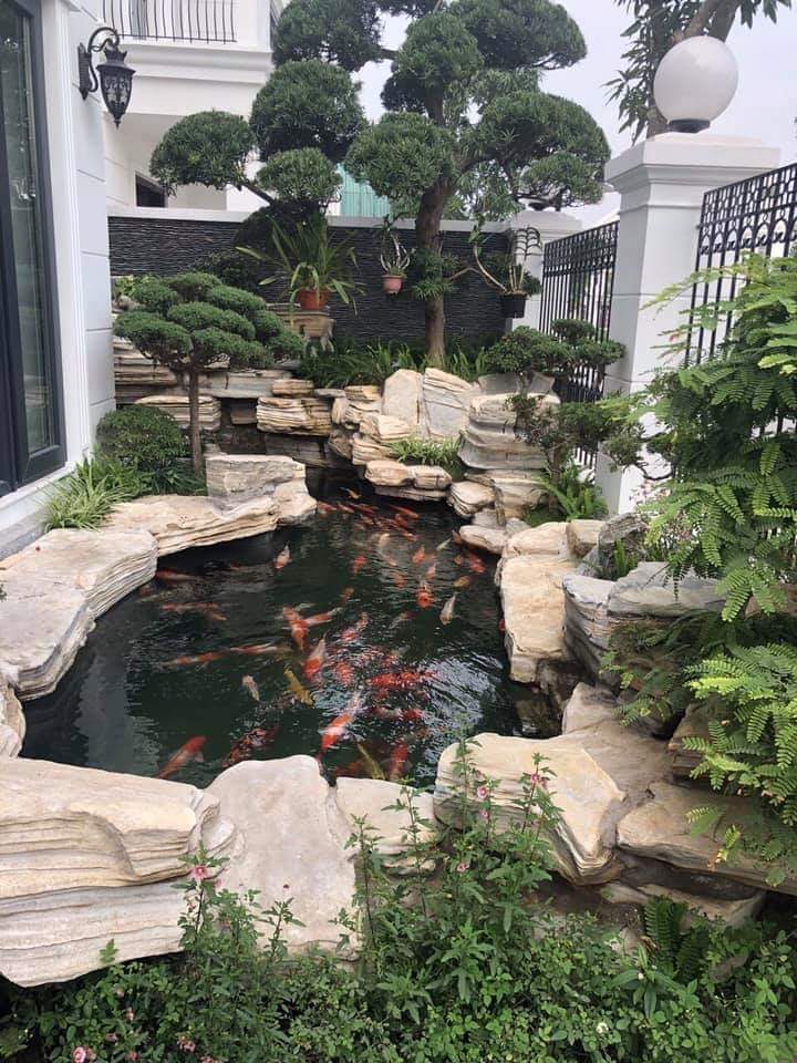 Đá cổ thạch ,đá tuyết sơn lÀm non bộ ,thác nước ,hồ koi, đặt sân vườn , bo bồn cây, tiểu cảnh