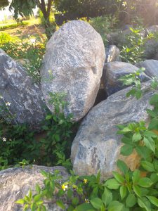 Đá , cuội , bước dạo phục vụ cảnh quan