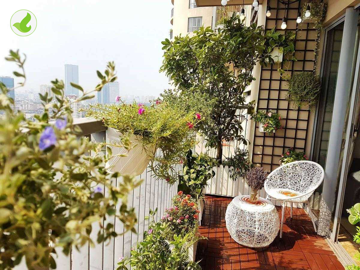 Những điều cần biết khi làm tiểu cảnh ban công trên cao!